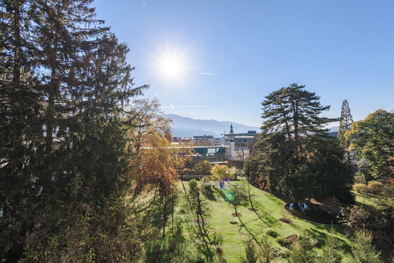 Ausblick auf den Grafenpark